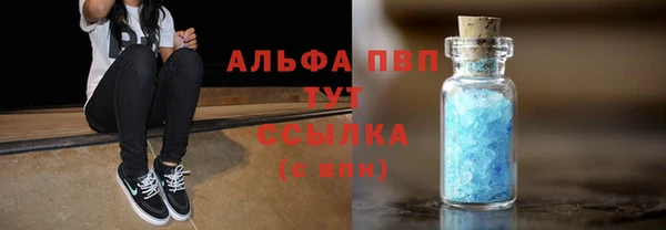 ECSTASY Новозыбков