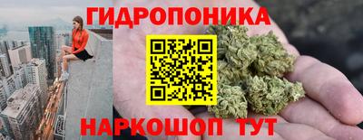 амф Кимры