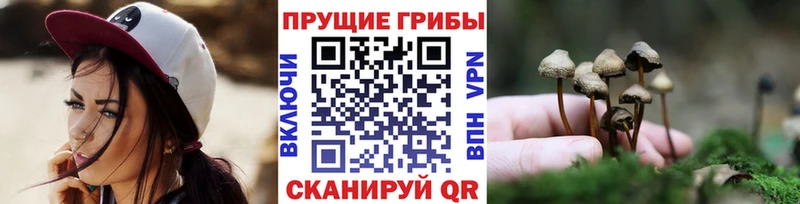 даркнет сайт  Краснокамск  Галлюциногенные грибы Cubensis 