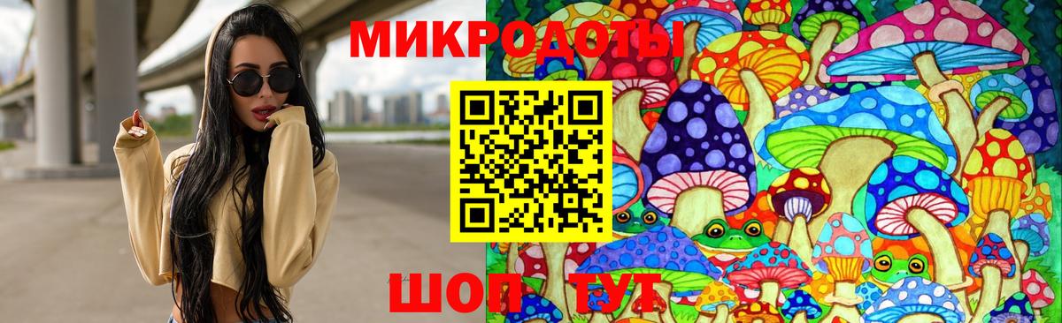 Краснокамск  Галлюциногенные грибы мицелий  Псилоцибиновые грибы Psilocybe  Вход с VPN 