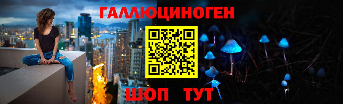 Галлюциногенные грибы Psilocybe  Краснокамск  Галлюциногенные грибы GOLDEN TEACHER 